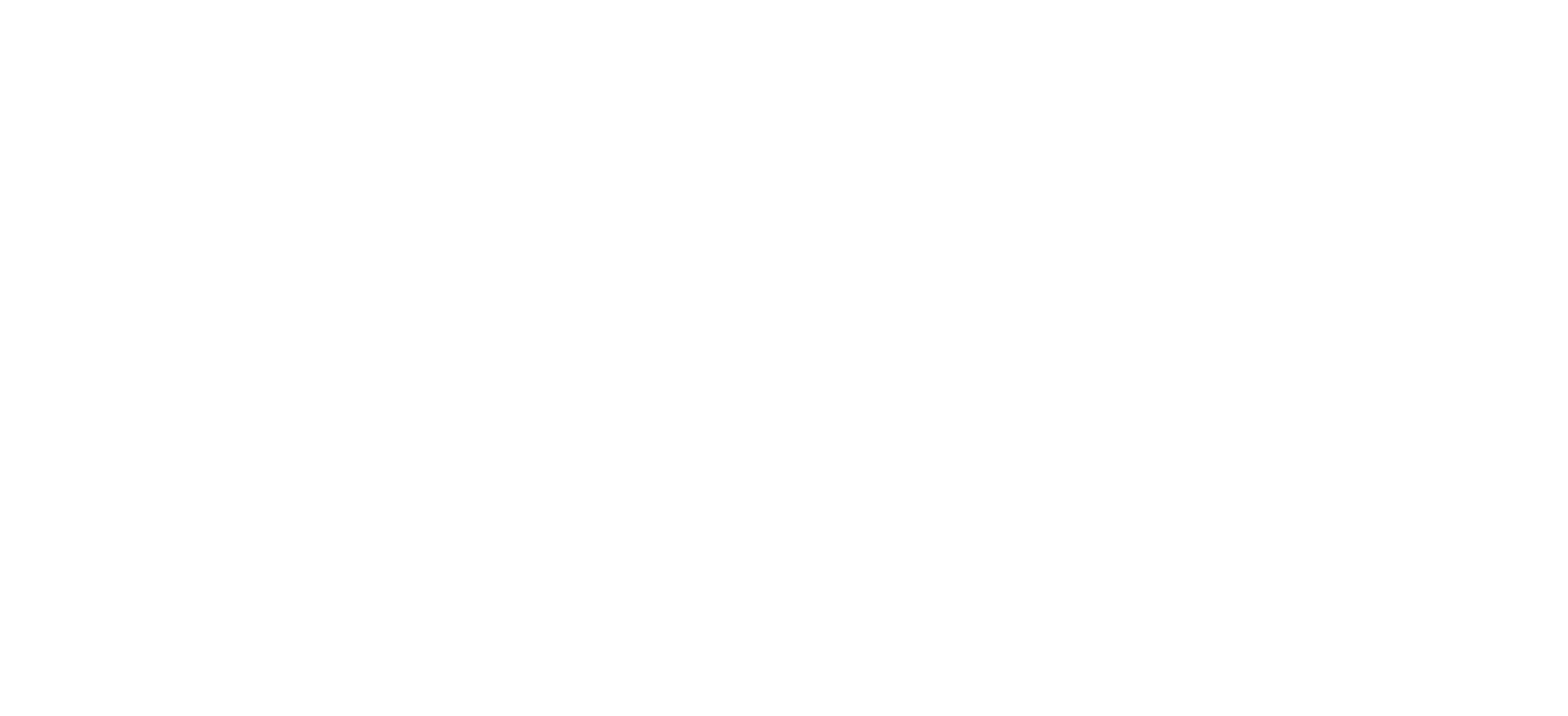 Dr. Stile Rx Logo Large White